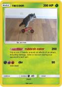 raccoon