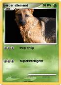 berger allemand