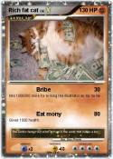 Rich fat cat
