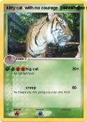 kitty cat with