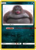 harambe brother