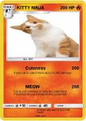 KITTY NINJA