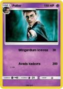 Potter