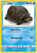 Turtle
