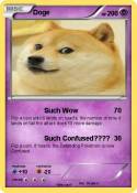 Doge