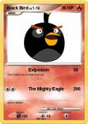 Black Bird
