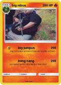 big nibus