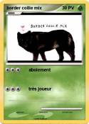 border collie