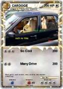 CARDOGE