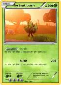 fortnut bush