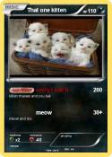 That one kitten