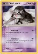 PETIT CHAT
