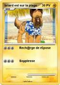 briard est sur