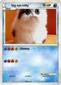 big eye kitty