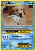 Buddy
