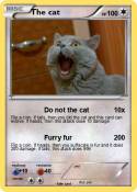 The cat