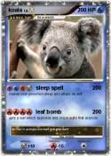 koala