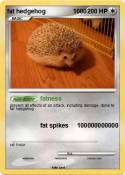 fat hedgehog