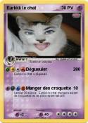 Eurkkk le chat