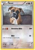 Boxer