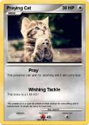 Praying Cat