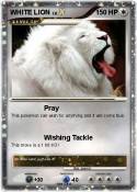 WHITE LION
