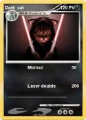 Dark cat