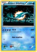 miami dolphins
