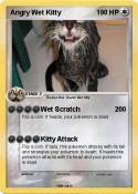 Angry Wet Kitty