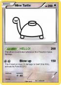 Mine Turtle
