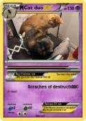 Cat duo