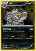 Owl