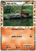 tigre du feu