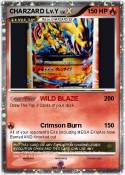 CHARZARD Lv.Y