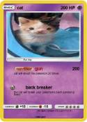 cat