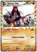 Ojibway Tribe
