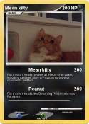 Mean kitty