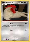Chicken cat