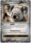 Koala