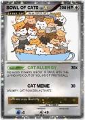 BOWL OF CATS