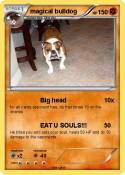 magical bulldog