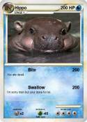 Hippo