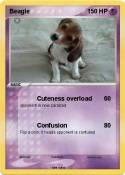 Beagle