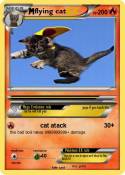 flying cat
