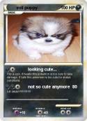 evil puppy