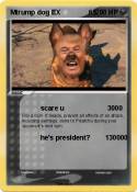 Mtrump dog EX