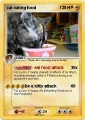 cat eating food