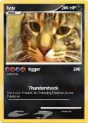 tygy