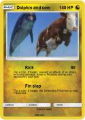 Dolphin and