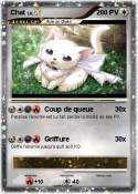 Chat